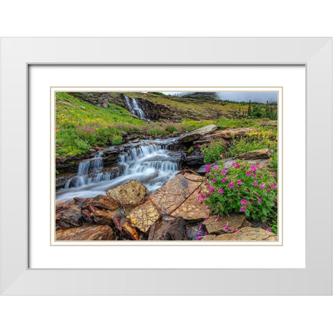 Alpine wildflowers along Oberlin Creek in Glacier National Park-Montana-USA White Modern Wood Framed Art Print with Double Matting by Haney, Chuck