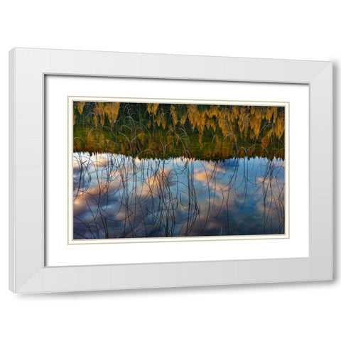 Autumn reflections in Spencer Lake near Whitefish-Montana-USA White Modern Wood Framed Art Print with Double Matting by Haney, Chuck