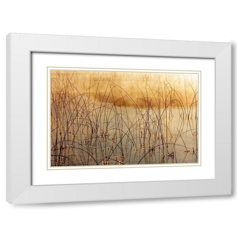 Icy reeds at sunrise on cold morning at Spencer Lake near Whitefish-Montana-USA White Modern Wood Framed Art Print with Double Matting by Haney, Chuck