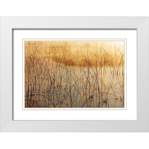 Icy reeds at sunrise on cold morning at Spencer Lake near Whitefish-Montana-USA White Modern Wood Framed Art Print with Double Matting by Haney, Chuck