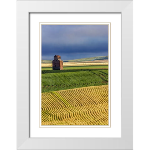 Old wooden granary in Collins-Montana-USA White Modern Wood Framed Art Print with Double Matting by Haney, Chuck