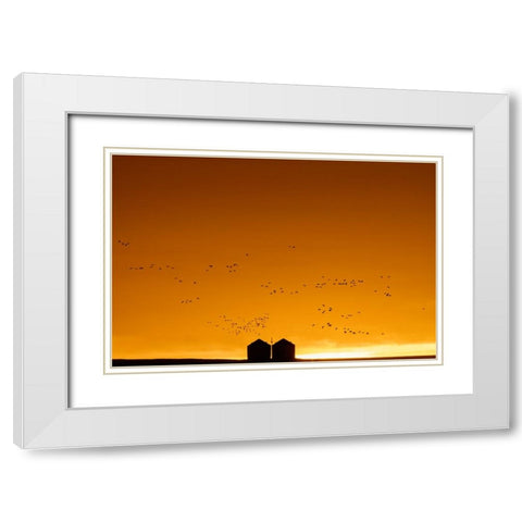 Snow geese silhouetted against dramatic sunrise sky during spring migration at Freezeout Lake Wildl White Modern Wood Framed Art Print with Double Matting by Haney, Chuck