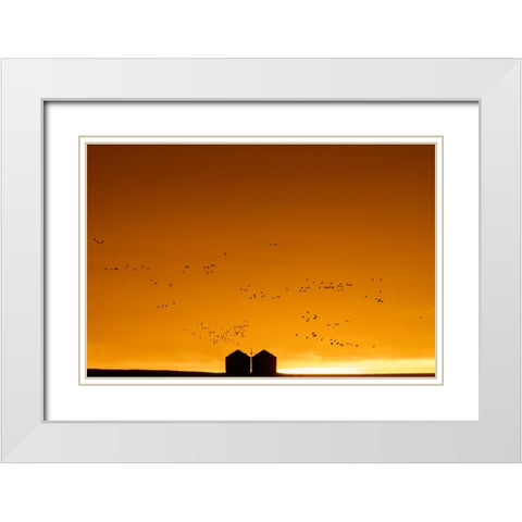 Snow geese silhouetted against dramatic sunrise sky during spring migration at Freezeout Lake Wildl White Modern Wood Framed Art Print with Double Matting by Haney, Chuck