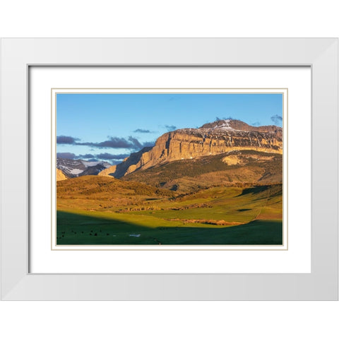 Cattle pastures below Walling Reef at sunrise near Dupuyer-Montana-USA White Modern Wood Framed Art Print with Double Matting by Haney, Chuck