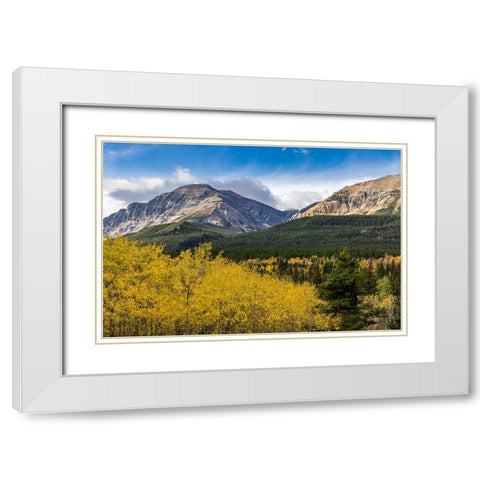 Autumn aspen grove with Bear Mountain in Glacier National Park-Montana-USA White Modern Wood Framed Art Print with Double Matting by Haney, Chuck