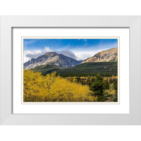 Autumn aspen grove with Bear Mountain in Glacier National Park-Montana-USA White Modern Wood Framed Art Print with Double Matting by Haney, Chuck
