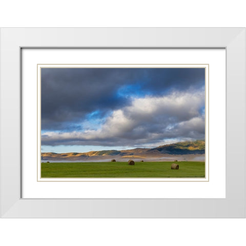 Hay bales in clearing fog with Salish Mountains in Lake County-Montana-USA White Modern Wood Framed Art Print with Double Matting by Haney, Chuck
