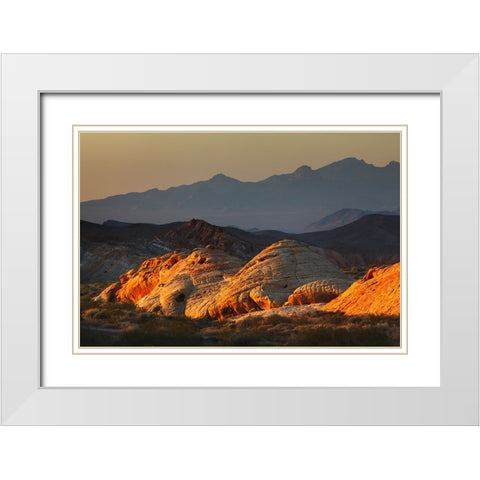 Last light on red sandstone or Aztec Sandstone-Valley of Fire-Nevada White Modern Wood Framed Art Print with Double Matting by Jones, Adam