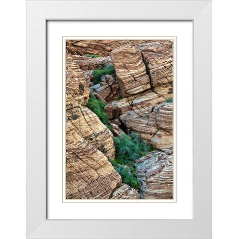 Valley of Fire-Nevada White Modern Wood Framed Art Print with Double Matting by Jones, Adam