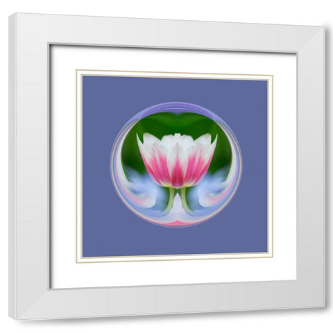 Single tulip-Las Vegas-Nevada White Modern Wood Framed Art Print with Double Matting by Jones, Adam