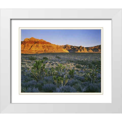 Nevada, Red Rock Canyon Sunset on hills White Modern Wood Framed Art Print with Double Matting by Flaherty, Dennis