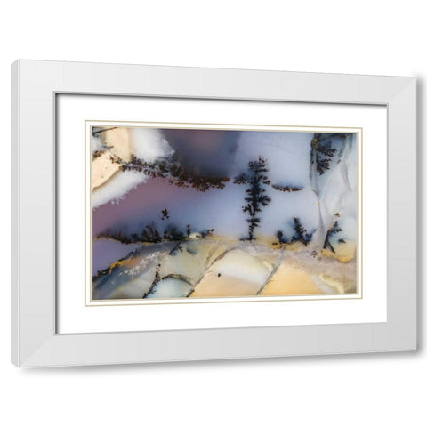 USA, Nevada Close-up of amethyst sage agate White Modern Wood Framed Art Print with Double Matting by Kirkland, Dennis
