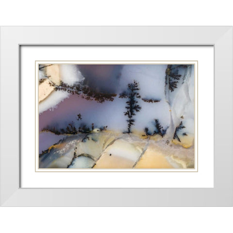 USA, Nevada Close-up of amethyst sage agate White Modern Wood Framed Art Print with Double Matting by Kirkland, Dennis