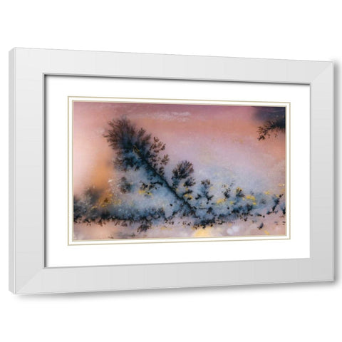 USA, Nevada Close-up of amethyst sage agate White Modern Wood Framed Art Print with Double Matting by Kirkland, Dennis
