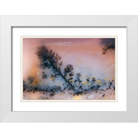 USA, Nevada Close-up of amethyst sage agate White Modern Wood Framed Art Print with Double Matting by Kirkland, Dennis