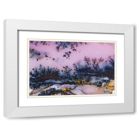 USA, Nevada Close-up of amethyst sage agate White Modern Wood Framed Art Print with Double Matting by Kirkland, Dennis