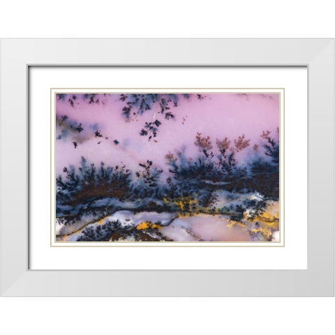 USA, Nevada Close-up of amethyst sage agate White Modern Wood Framed Art Print with Double Matting by Kirkland, Dennis