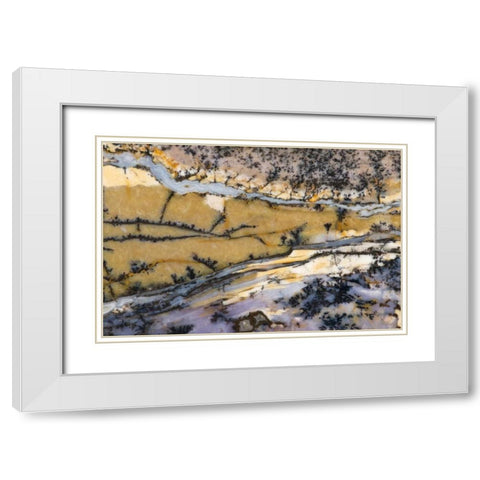 USA, Nevada Close-up of amethyst sage agate White Modern Wood Framed Art Print with Double Matting by Kirkland, Dennis