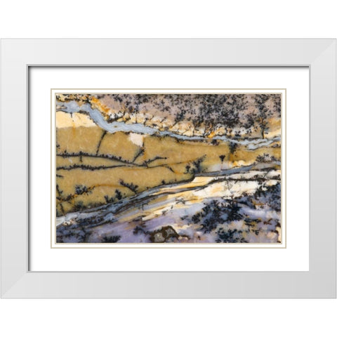 USA, Nevada Close-up of amethyst sage agate White Modern Wood Framed Art Print with Double Matting by Kirkland, Dennis