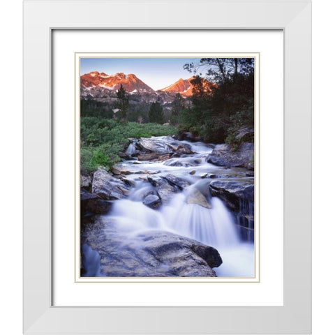 Nevada Stream runs through Lamoille Canyon White Modern Wood Framed Art Print with Double Matting by Flaherty, Dennis