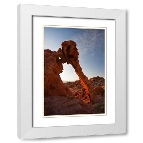 Nevada, Valley of Fire SP View of Elephant Rock White Modern Wood Framed Art Print with Double Matting by Grall, Don