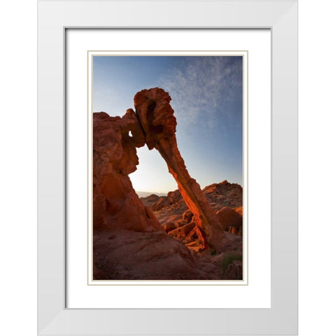 Nevada, Valley of Fire SP View of Elephant Rock White Modern Wood Framed Art Print with Double Matting by Grall, Don