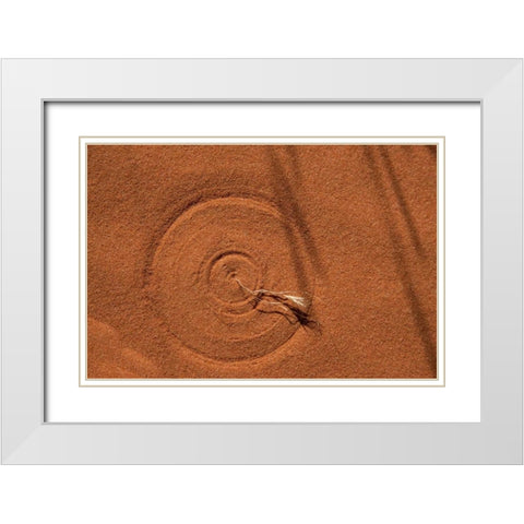 Nevada, Valley of Fire SP Circle in the sand White Modern Wood Framed Art Print with Double Matting by Grall, Don