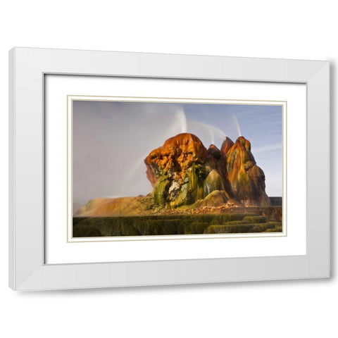 Nevada, Black Rock Desert View of the Fly Geyser White Modern Wood Framed Art Print with Double Matting by Illg, Cathy and Gordon