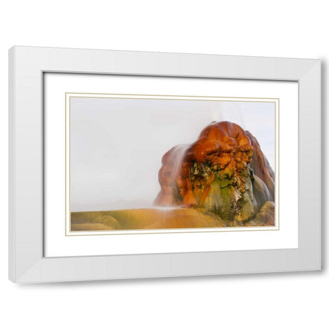 Nevada, Black Rock Desert View of the Fly Geyser White Modern Wood Framed Art Print with Double Matting by Illg, Cathy and Gordon