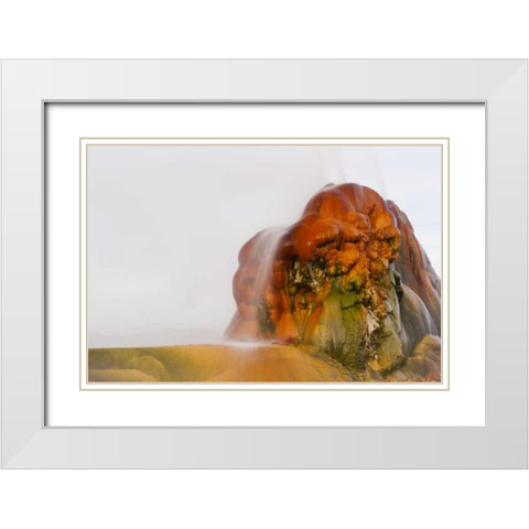 Nevada, Black Rock Desert View of the Fly Geyser White Modern Wood Framed Art Print with Double Matting by Illg, Cathy and Gordon