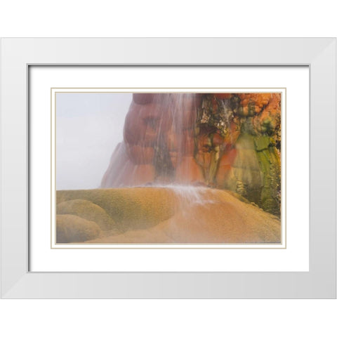 Nevada, Black Rock Desert View of the Fly Geyser White Modern Wood Framed Art Print with Double Matting by Illg, Cathy and Gordon