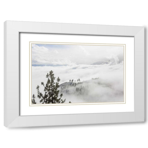 USA, Nevada View from Daggett Pass White Modern Wood Framed Art Print with Double Matting by Paulson, Don
