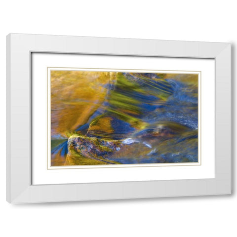 NH, White Mountain NF, Fall reflections in stream White Modern Wood Framed Art Print with Double Matting by Rotenberg, Nancy