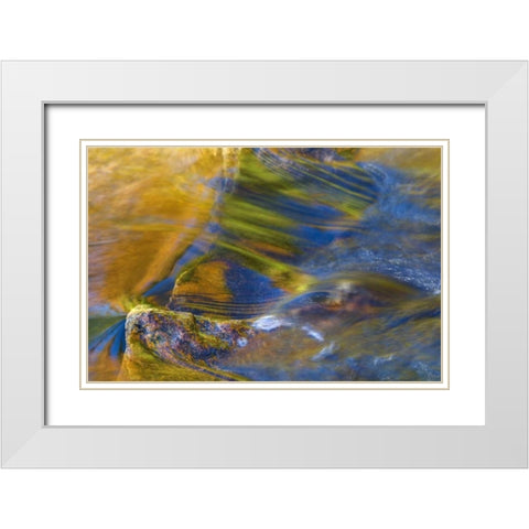 NH, White Mountain NF, Fall reflections in stream White Modern Wood Framed Art Print with Double Matting by Rotenberg, Nancy