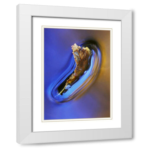NH, Fall leaf floating in stream in reflection White Modern Wood Framed Art Print with Double Matting by Rotenberg, Nancy