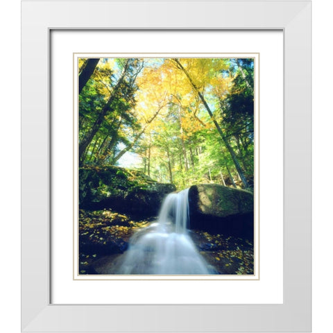 New Hampshire, A waterfall in the White Mountains White Modern Wood Framed Art Print with Double Matting by Talbot Frank, Christopher