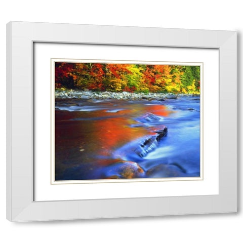NH, White Mts, Swift River reflecting Autumn White Modern Wood Framed Art Print with Double Matting by Talbot Frank, Christopher