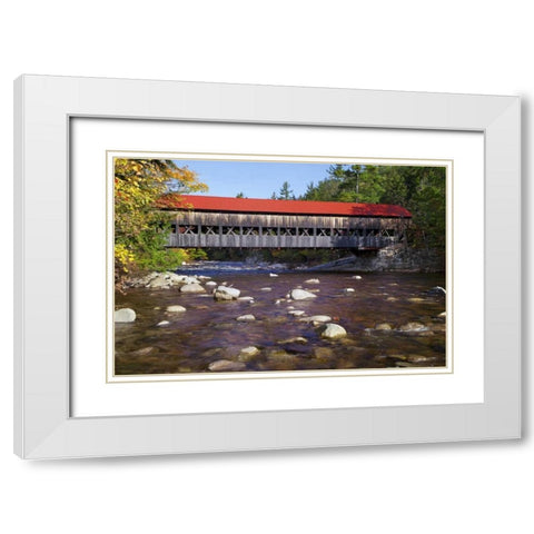 NH, White Mts Albany Covered Bridge White Modern Wood Framed Art Print with Double Matting by Flaherty, Dennis