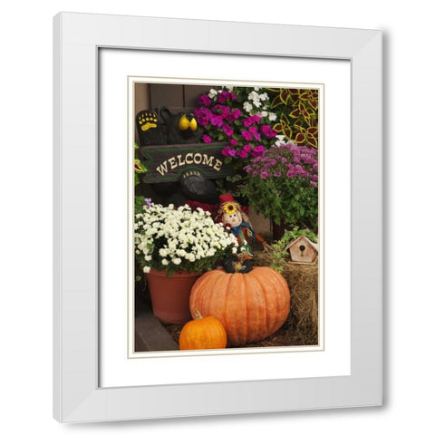 NH, White Mts Autumn decorations in store front White Modern Wood Framed Art Print with Double Matting by Flaherty, Dennis