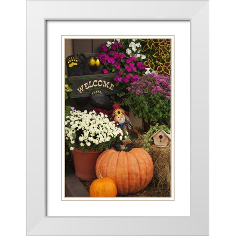 NH, White Mts Autumn decorations in store front White Modern Wood Framed Art Print with Double Matting by Flaherty, Dennis