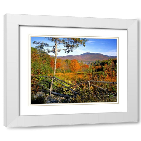 NH, Chocorua Autumn landscape of Mount Chocorua White Modern Wood Framed Art Print with Double Matting by Terrill, Steve