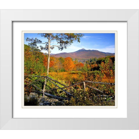 NH, Chocorua Autumn landscape of Mount Chocorua White Modern Wood Framed Art Print with Double Matting by Terrill, Steve
