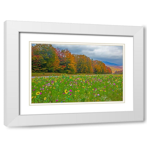 USA-New Hampshire-White Mountains in background with meridian planted with flowers along Interstate White Modern Wood Framed Art Print with Double Matting by Gulin, Sylvia