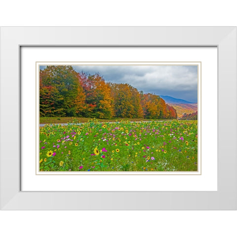 USA-New Hampshire-White Mountains in background with meridian planted with flowers along Interstate White Modern Wood Framed Art Print with Double Matting by Gulin, Sylvia