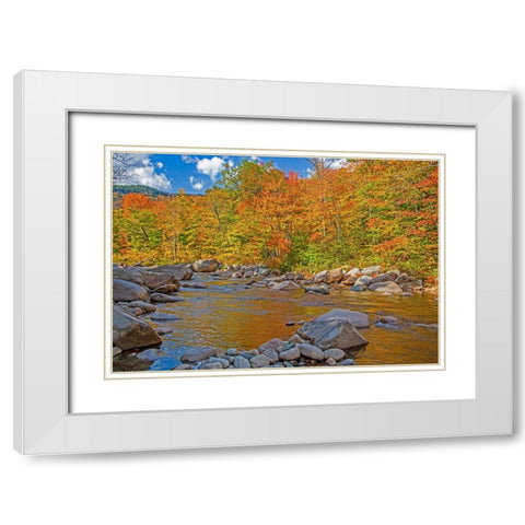 USA-New Hampshire-White Mountains National Forest and Swift River along Highway 112 in Autumn from  White Modern Wood Framed Art Print with Double Matting by Gulin, Sylvia