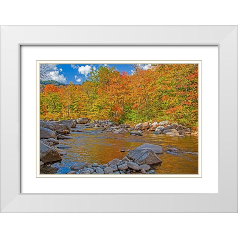 USA-New Hampshire-White Mountains National Forest and Swift River along Highway 112 in Autumn from  White Modern Wood Framed Art Print with Double Matting by Gulin, Sylvia