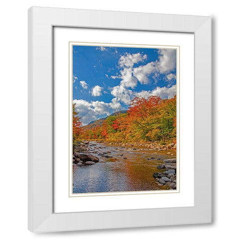 USA-New Hampshire-White Mountains National Forest and Swift River along Highway 112 in Autumn from  White Modern Wood Framed Art Print with Double Matting by Gulin, Sylvia