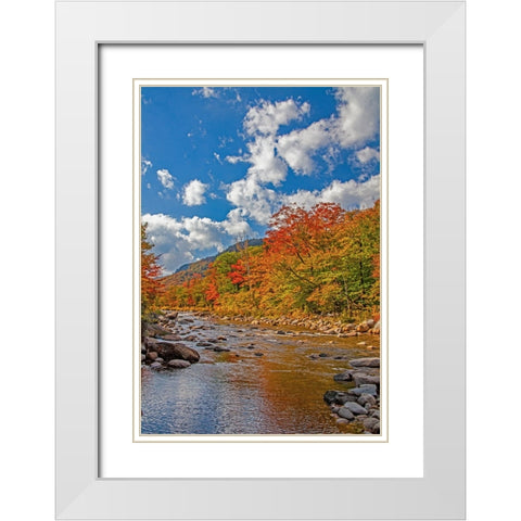 USA-New Hampshire-White Mountains National Forest and Swift River along Highway 112 in Autumn from  White Modern Wood Framed Art Print with Double Matting by Gulin, Sylvia