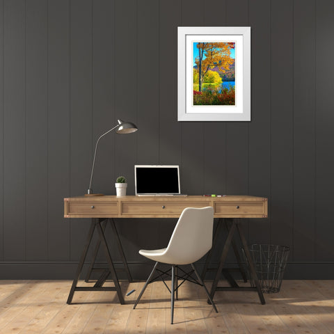 USA-New Hampshire-Franconia-small lake surrounded by Fall color of Maple-White Birch-and American B White Modern Wood Framed Art Print with Double Matting by Gulin, Sylvia