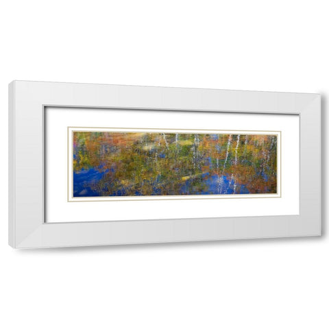 USA-New Hampshire-Gorham Autumn colors reflected in small pond White Modern Wood Framed Art Print with Double Matting by Gulin, Sylvia